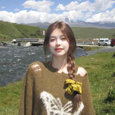 民权领袖